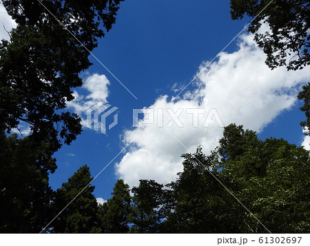 vision vision 61302697