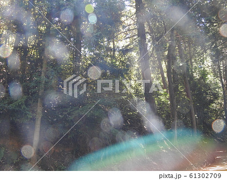 vision vision 61302709