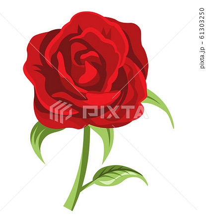 バラの花 満開 切り花 赤のイラスト素材 バラの花 満開 切り花 赤のイラスト素材