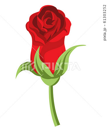 バラの花 開きかけ つぼみ 切り花 赤色のイラスト素材