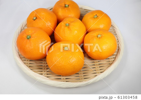 南柑 みかん 61303458