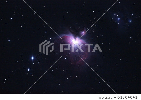 オリオン大星雲 オリオン大星雲 61304041