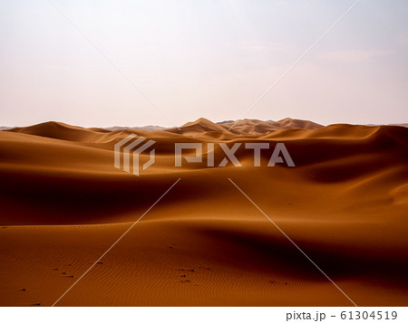 中国 新疆自治区 鄯善 クムタグ砂漠 Kumtag Desert, Xinjiang, China 61304519