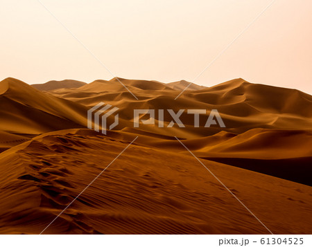 新疆ウイグル自治区 鄯善 クムタグ砂漠 Kumtag Desert, Xinjiang,China 61304525