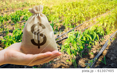 Money bag on the background of agricultural crops in the hand of the farmer. Agricultural startups. Profit from agribusiness. Lending and subsidizing farmers. Grants and support. Land value and rent. Money bag on the background of agricultural crops in the hand of the farmer. Agricultural startups. Profit from agribusiness. Lending and subsidizing farmers. Grants and support. Land value and rent. 61307405