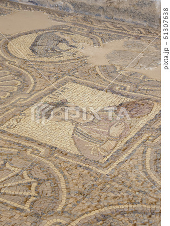 Mosaic Floor in Petra 61307638