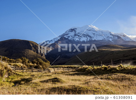 Chimborazo Volcano in Ecuador 61308091