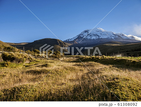 Chimborazo Volcano in Ecuador 61308092