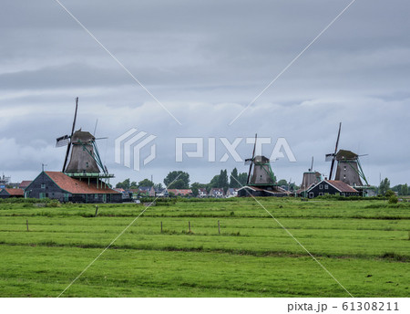 Zaanse Schans Windmills 61308211