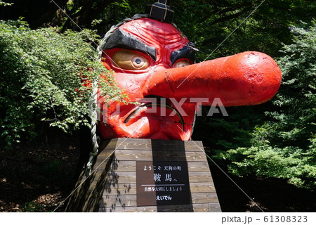 富士山からの眺め 61308323