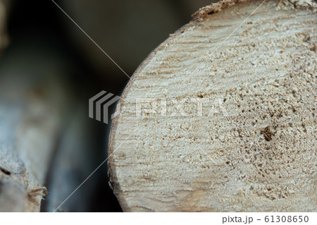 Wooden logs stack, tree stumps background Wooden logs stack, tree stumps background 61308650
