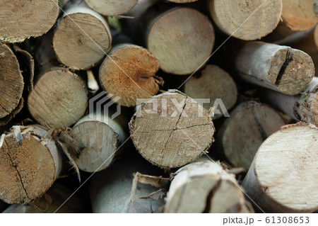 Wooden logs stack, tree stumps background 61308653
