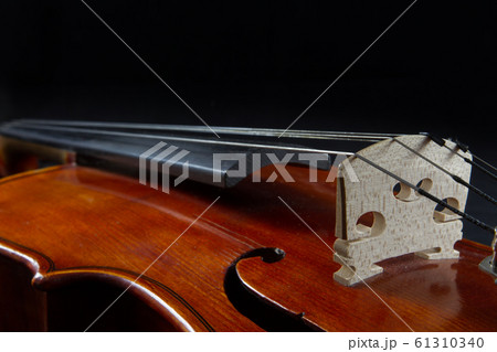 Violin bridge close-up Violin bridge close-up 61310340