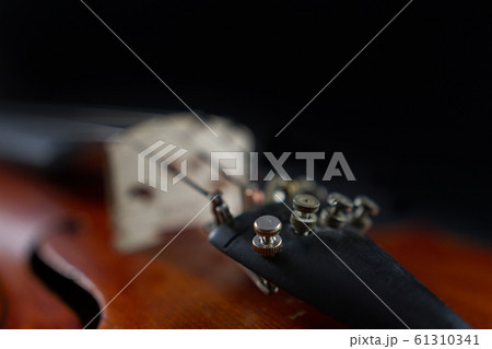 Violin close-up Violin close-up 61310341