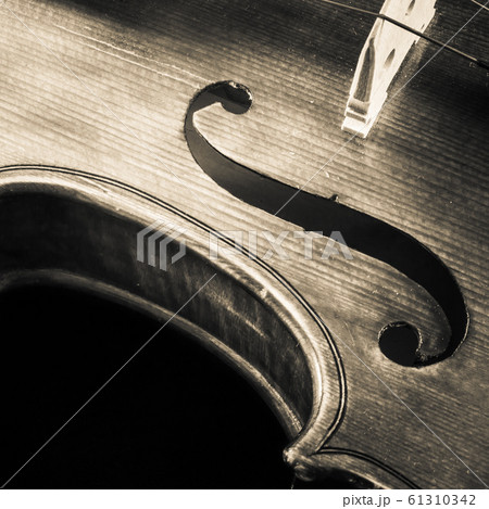 Retro Musical Curves Retro Musical Curves 61310342