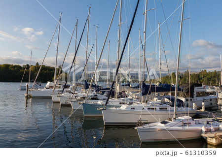 Luxury Sail Yachts moored along a Pier in Luxury Sail Yachts moored along a Pier in 61310359