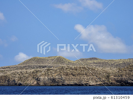 Santa Fe Island at Galapagos, Ecuador 61310459