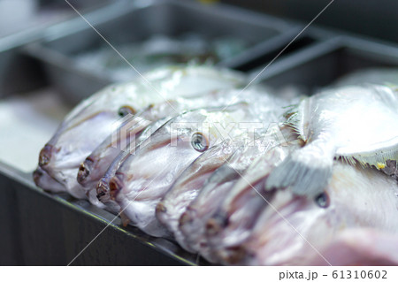 Asian street food. Fresh fish in a row Asian street food. Fresh fish in a row 61310602