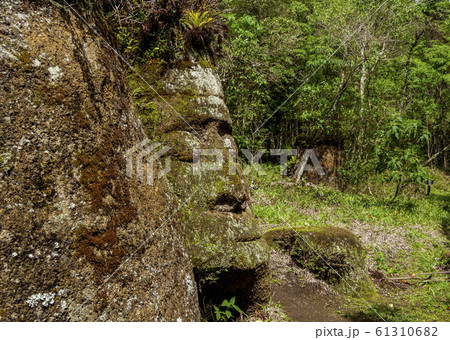 Face Sculpture at Floreana Island in Galapagos, Face Sculpture at Floreana Island in Galapagos, 61310682