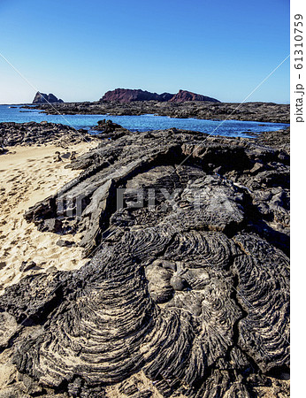 Sullivan Bay at Santiago or James Island in 61310759