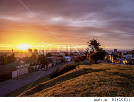 Punta Arenas in Patagonia, Chile 61310815