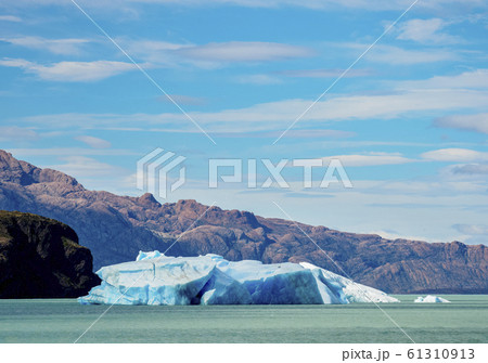 Icebergs on Lake Argentino in Los Glaciares Icebergs on Lake Argentino in Los Glaciares 61310913