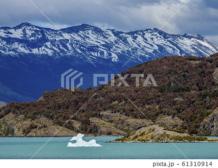Icebergs on Lake Argentino in Los Glaciares 61310914