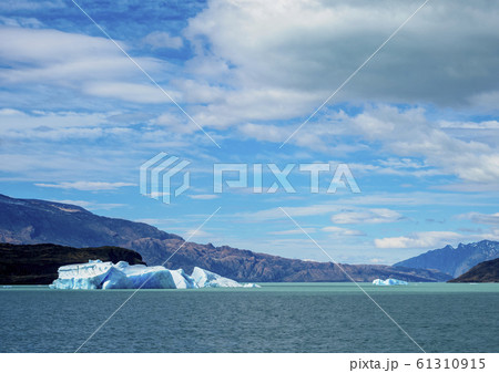 Icebergs on Lake Argentino in Los Glaciares 61310915