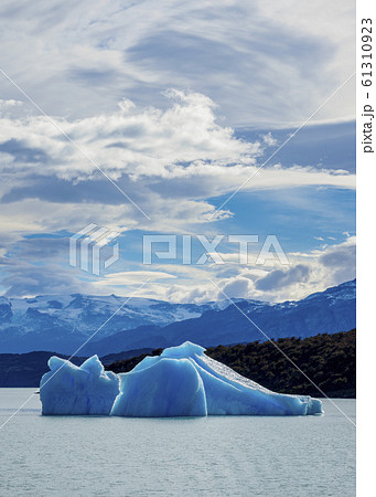 Icebergs on Lake Argentino in Los Glaciares 61310923