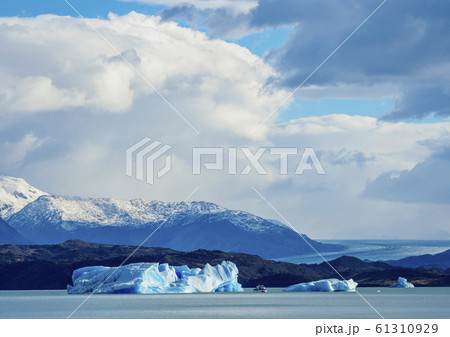 Icebergs on Lake Argentino in Los Glaciares Icebergs on Lake Argentino in Los Glaciares 61310929