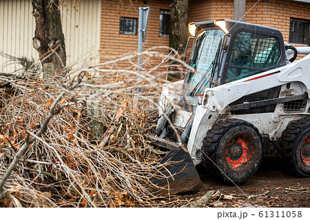 Urban emergency service removes a fallen tree on a 61311058
