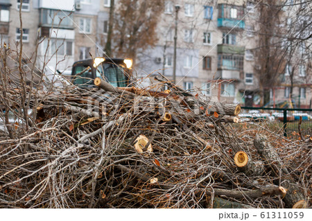 Urban emergency service removes a fallen tree on a Urban emergency service removes a fallen tree on a 61311059
