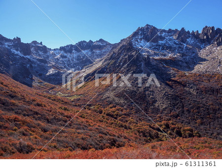 Nahuel Huapi National Park in Argentina 61311361