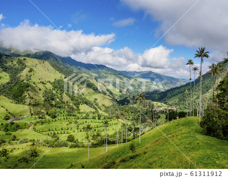 Cocora Valley near Salento in Colombia 61311912