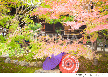京都市東山区の東福寺搭頭勝林寺で撮影した紅葉 京都市東山区の東福寺搭頭勝林寺で撮影した紅葉 61312832