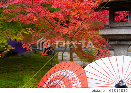 京都市東山区の東福寺搭頭勝林寺で撮影した紅葉 京都市東山区の東福寺搭頭勝林寺で撮影した紅葉 61312856