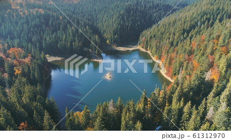 picturesque calm lake reflecting green tree silhouettes 61312970