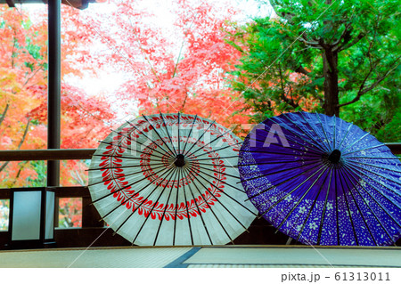 京都市東山区の東福寺搭頭勝林寺で撮影した紅葉 京都市東山区の東福寺搭頭勝林寺で撮影した紅葉 61313011