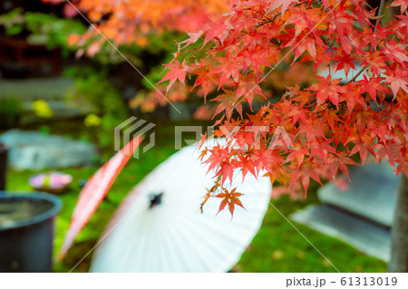 京都市東山区の東福寺搭頭勝林寺で撮影した紅葉 京都市東山区の東福寺搭頭勝林寺で撮影した紅葉 61313019