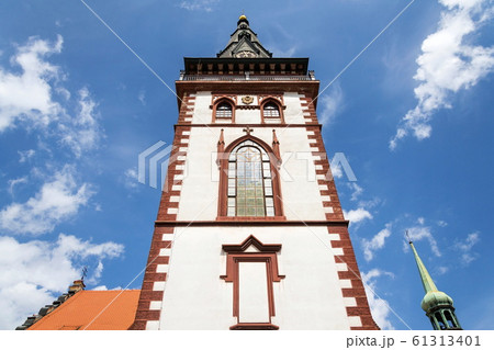 Rowan berry on mountain-ash deciduous tree, copy space on blue clear sky background, sunny day Rowan berry on mountain-ash deciduous tree, copy space on blue clear sky background, sunny day 61313401