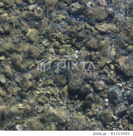 Abstract view of Agua Fria River flowing in Peoria, Maricopa County, Arizona USA. Abstract view of Agua Fria River flowing in Peoria, Maricopa County, Arizona USA. 61313405
