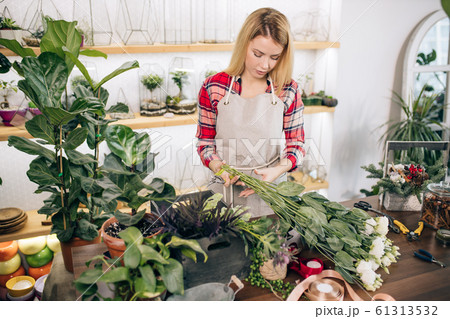 flowers composition by beautiful florist woman flowers composition by beautiful florist woman 61313532