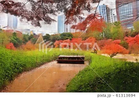 小石川後楽園。小廬山から見た紅葉（12月）東京都文京区 61313694