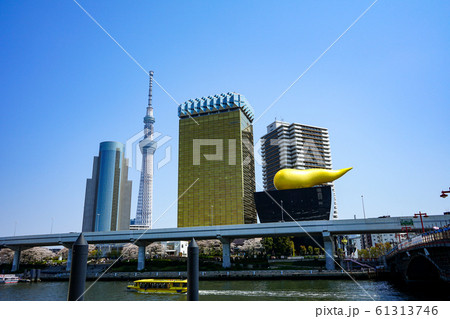 東京スカイツリー、アサヒビール、花見＜東京都墨田区2019年4月＞ 61313746