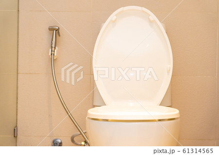 White toilet bowl seat decoration interior 61314565