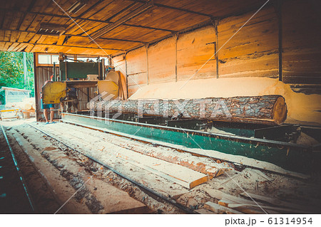 Sawmill. Process of machining logs in sawmill machine saws the tree trunk Sawmill. Process of machining logs in sawmill machine saws the tree trunk 61314954