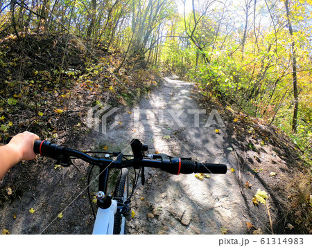 Girl rides bicycle through forest. Girl rides bike along path in forest 61314983