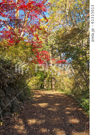 紅葉の天覧山 登山道入り口付近 紅葉の天覧山 登山道入り口付近 61315013
