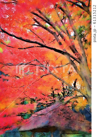 小石川後楽園。紅葉と丸屋。四阿（12月）東京都文京区 61315212