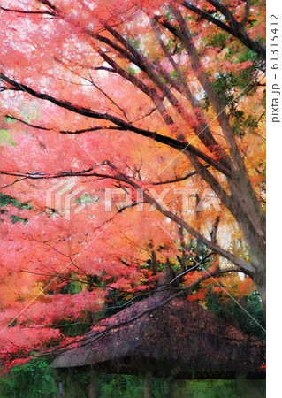 小石川後楽園。紅葉と丸屋。四阿（12月）東京都文京区 61315412